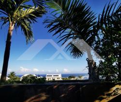 Maison / Villa studio 474 m2