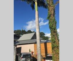 Maison / Villa 4 pi&egrave;ce(s)  127 m2