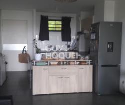 Appartement 2 pi&egrave;ce(s)  43 m2