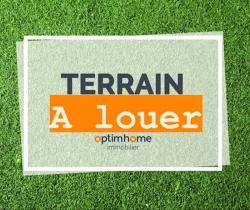 Terrain 