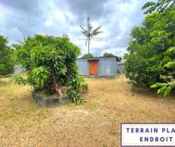 Terrain 