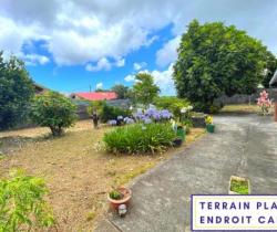 Terrain 