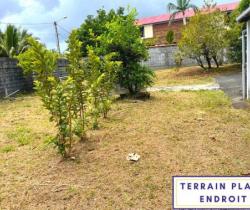Terrain 
