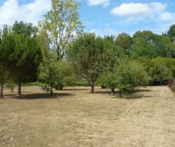 Terrains à bâtir 