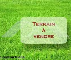 Terrain 