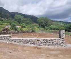 Terrain 