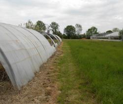 Terrain agricole 