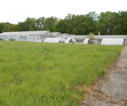 Terrain agricole 