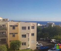 Appartement 2 pi&egrave;ce(s)  44 m2