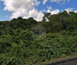 Terrains à bâtir 