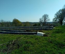Terrain 