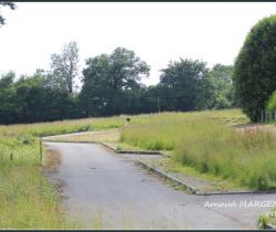 Terrain 