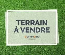 Terrain 