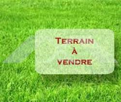 Terrain 
