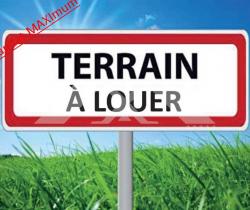 Terrain 