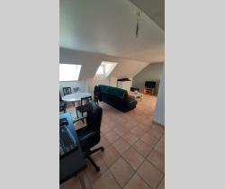 Appartement Plus de 5 pi&egrave;ces 