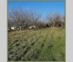 Terrains à bâtir 