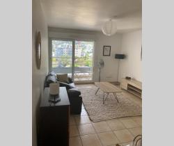 Appartement 2 pi&egrave;ce(s)  41 m2