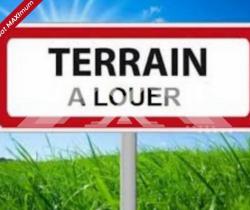 Terrain 