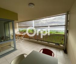 Appartement 2 pi&egrave;ce(s)  54 m2