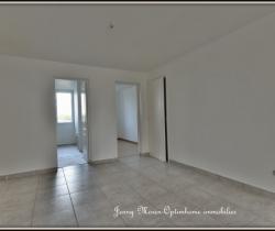 Appartement 3 pi&egrave;ce(s)  45 m2