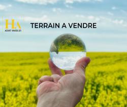 Terrains à bâtir 