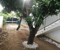 Appartement 4 pi&egrave;ce(s)  87 m2