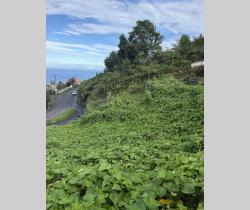 Terrains à bâtir  La Chaloupe