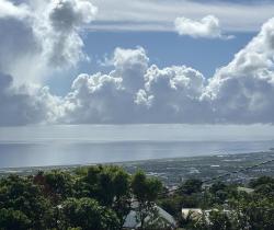 Appartement 2 pi&egrave;ce(s)  46 m2