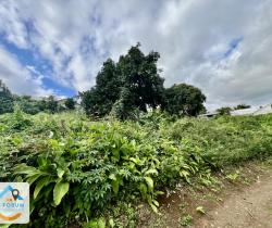 Terrain  Gol Les Hauts 