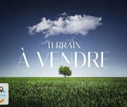 Terrain  Saint Louis 