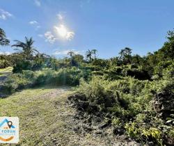 Terrain  Saint Philippe 