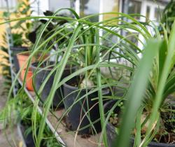 Local commercial  110 m2