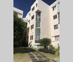 Appartement 2 pi&egrave;ce(s)  44 m2