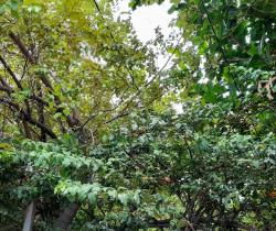 Maison / Villa Plus de 5 pi&egrave;ces  160 m ...